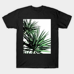 Palms T-Shirt